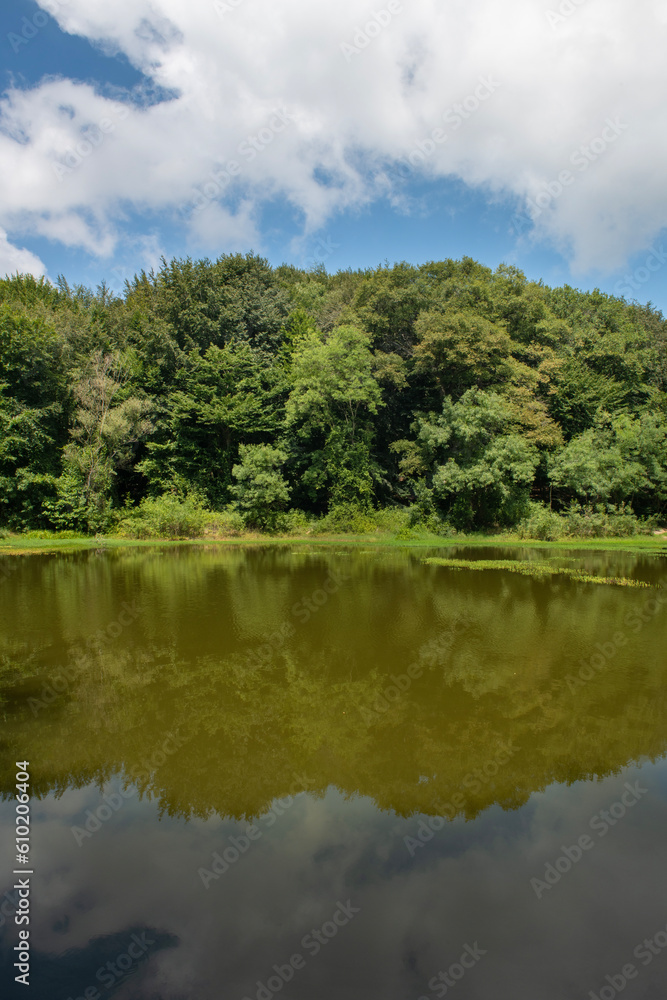 Reflection of the blue sky in the lake. Lake view in spring. Trees reflected in the water. Forest reflections in the water. Belgrade Istanbul. Reflection of the blue sky in the lake. Lake view in spring. Trees reflected in the water. Forest reflections in the water. Belgrade Istanbul.