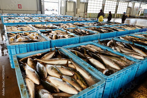 fresh fish on ice in a market