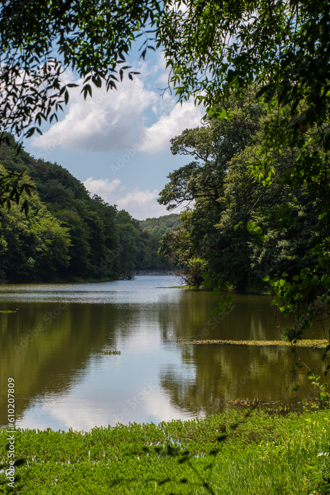 Reflection of the blue sky in the lake. Lake view in spring. Trees reflected in the water. Forest reflections in the water. Belgrade Istanbul. Reflection of the blue sky in the lake. Lake view in spring. Trees reflected in the water. Forest reflections in the water. Belgrade Istanbul.