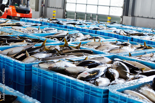 Quadro su tela fresh fish on ice in a market