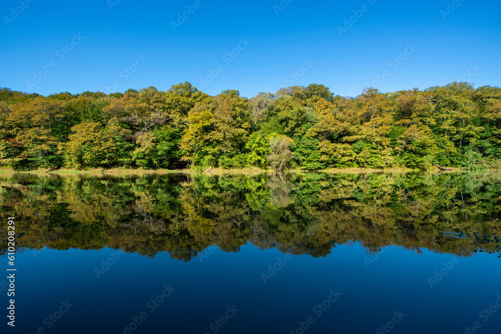 Reflection of the blue sky in the lake. Lake view in spring. Trees reflected in the water. Forest reflections in the water. Belgrade Istanbul. Reflection of the blue sky in the lake. Lake view in spring. Trees reflected in the water. Forest reflections in the water. Belgrade Istanbul.