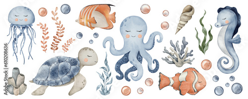 Photography Large set of Underwater Animals