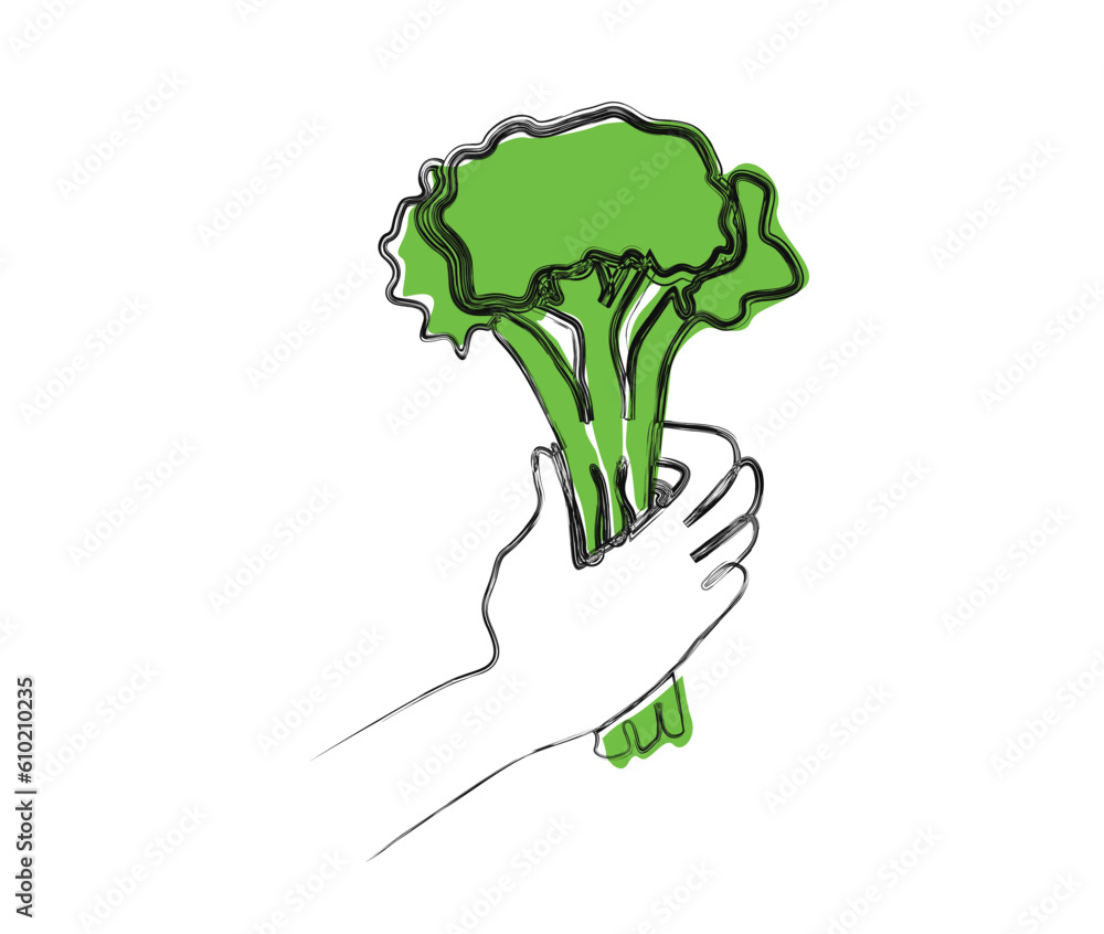 Line drawing of hand holding broccoli. Fresh broccoli doodle line art for agricultural, farming , organic food , cafe, restaurant and vegan concept. Line drawing of hand holding broccoli. Fresh broccoli doodle line art for agricultural, farming , organic food , cafe, restaurant and vegan concept.