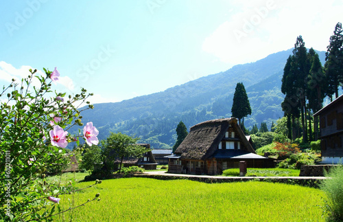 夏の富山県の五箇山の風景、五箇山合唱の里 photo