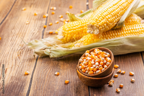 Corn cobs on wooden table and corn field background. Copy space