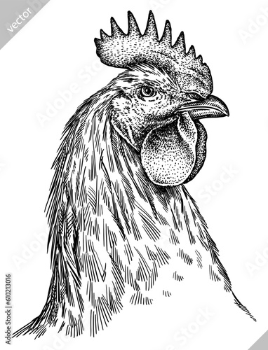 Vintage engraving isolated chicken set illustration rooster ink sketch. Farm fowl background hen bird silhouette cock art. Black and white hand drawn vector image