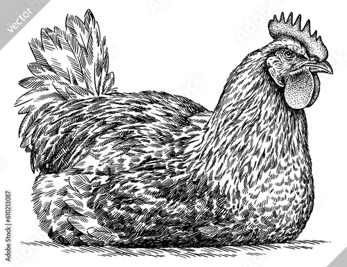 Vintage engraving isolated chicken set illustration rooster ink sketch. Farm fowl background hen bird silhouette cock art. Black and white hand drawn vector image
