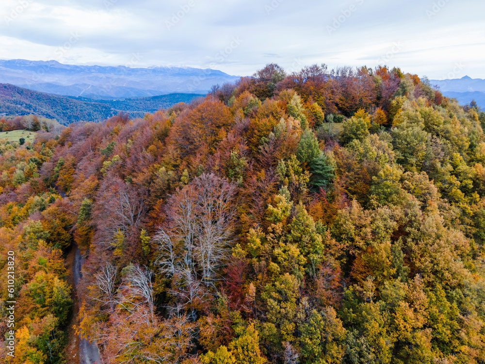 Autumn landscape in Puigsacalm Peak, La Garrotxa, Girona, Spain. Autumn landscape in Puigsacalm Peak, La Garrotxa, Girona, Spain.