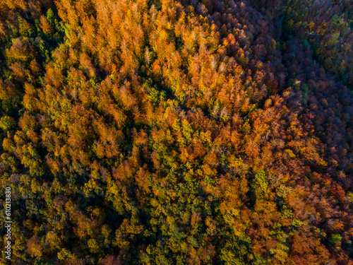 Autumn landscape in Puigsacalm Peak, La Garrotxa, Girona, Spain. photo