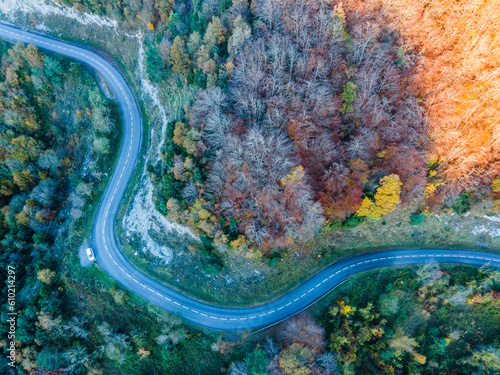 Autumn road in La Garrotxa, Girona, Spain.