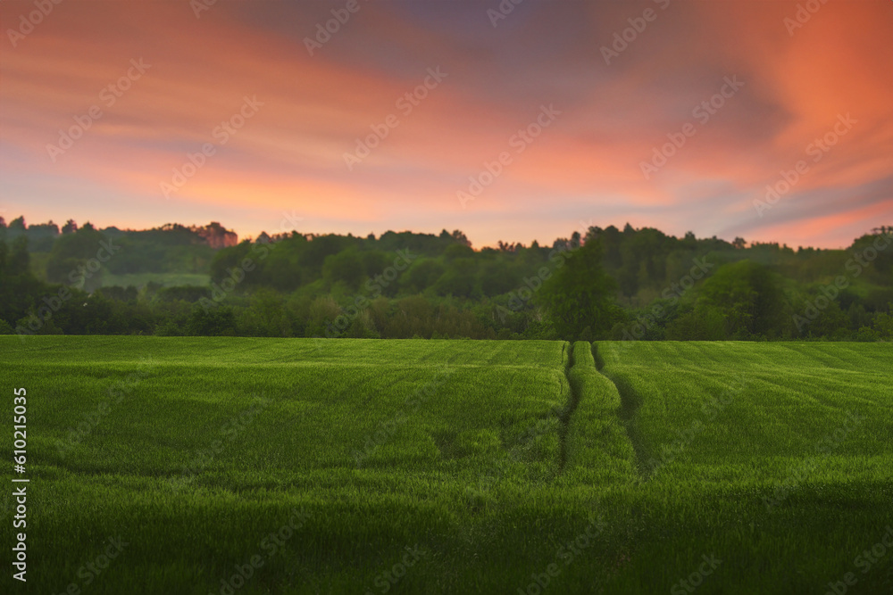 Agricultural land under a beautiful sky at sunrise. Rural areas and countryside in the morning.