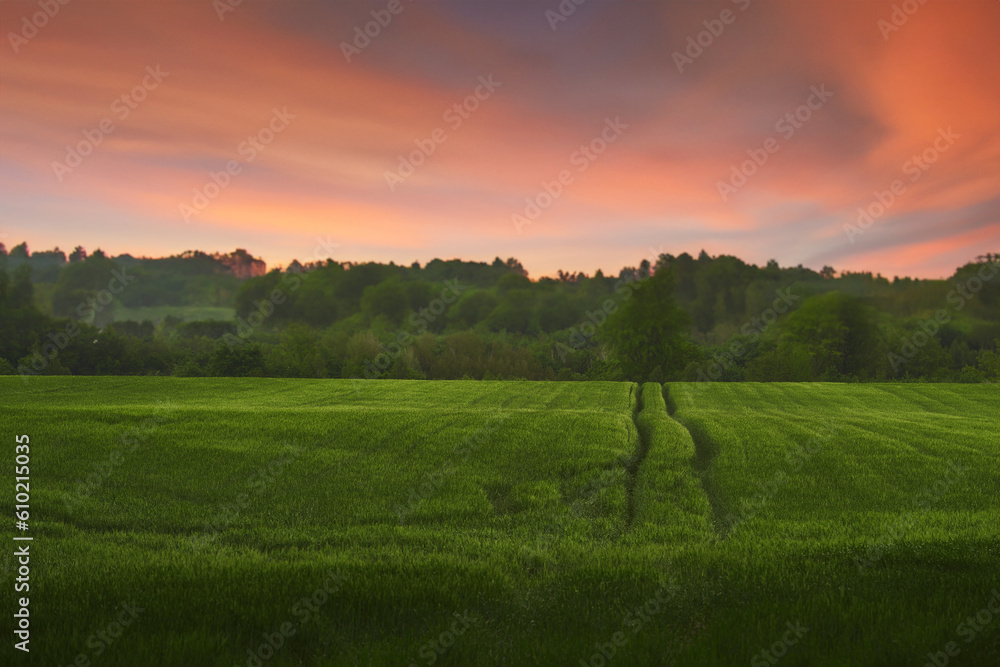 Agricultural land under a beautiful sky at sunrise. Rural areas and countryside in the morning. Agricultural land under a beautiful sky at sunrise. Rural areas and countryside in the morning.