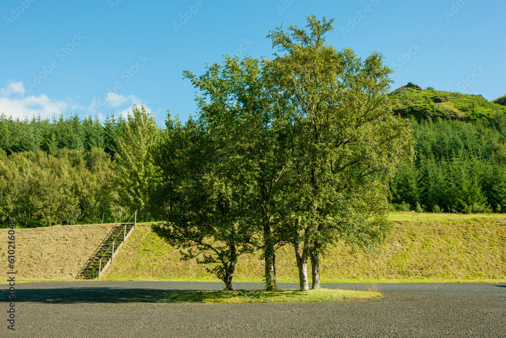 Obraz premium ヨーロッパの駐車場