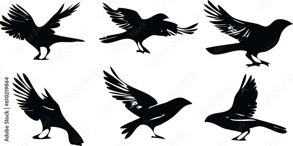 Obraz premium bird wing silhouettes collection for icon logo or element