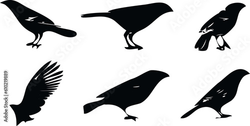 simple bird silhouettes collection for icon or logo