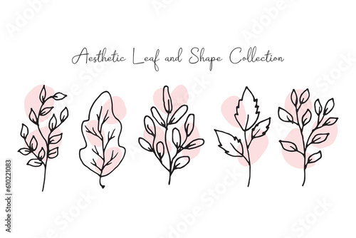 Aesthetic Leaf Line Art with Abstract Shape Collection