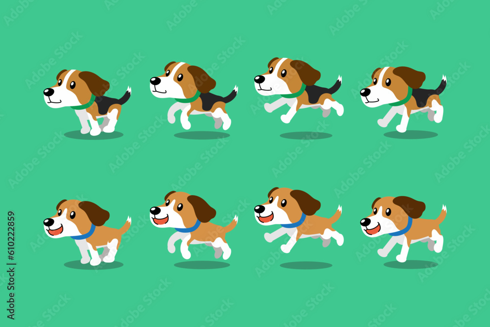 Vector cartoon character beagle dog running step for design.