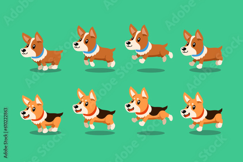 Vector cartoon character corgi dog running step for design.