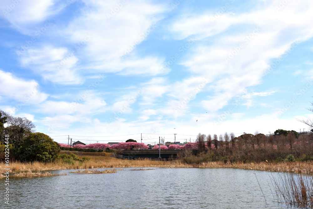 Obraz premium 三浦海岸小松ケ池のうえの白い雲