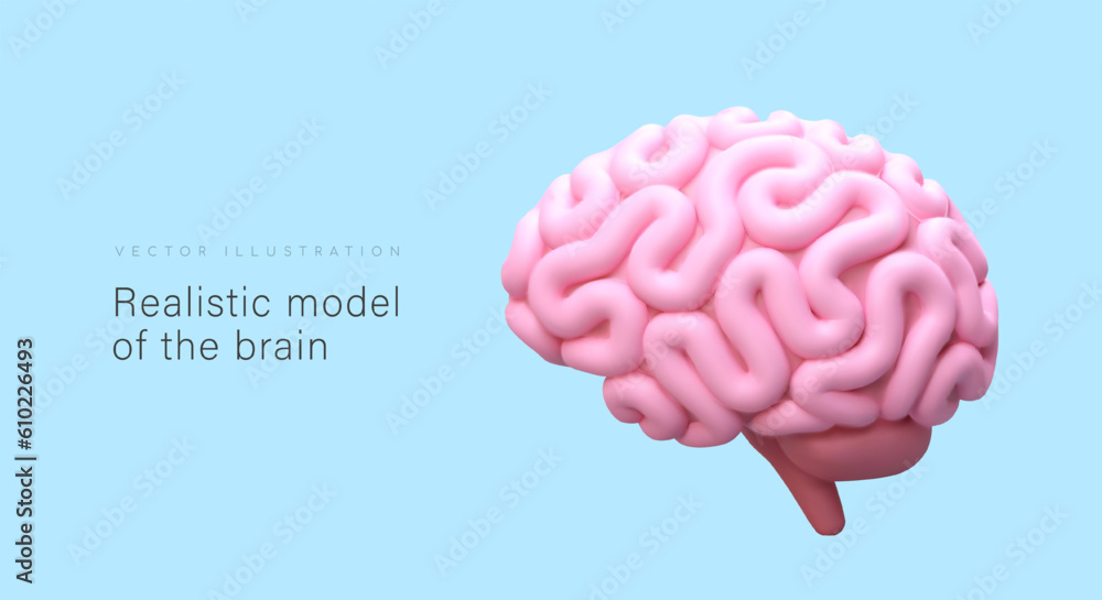 Realistic model of brain, outside view. 3D pink human cerebrum in cartoon style. Banner for medical applications, educational sites. Poster with place for text Realistic model of brain, outside view. 3D pink human cerebrum in cartoon style. Banner for medical applications, educational sites. Poster with place for text