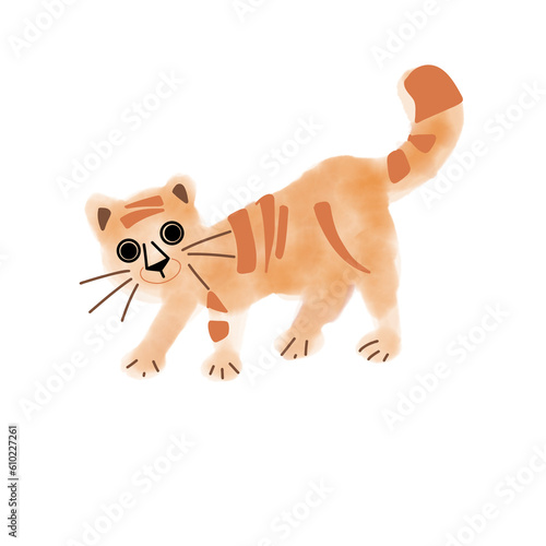 Fényképezés Tigger or cat or dog