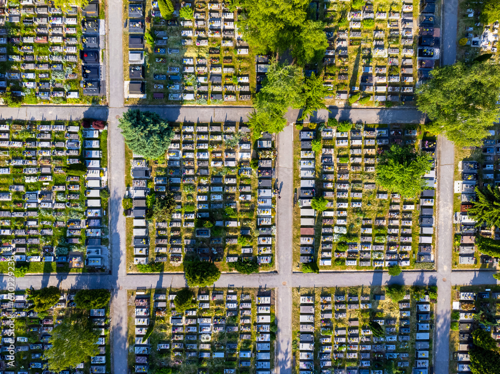 Aerial view cemetery, graves, alleys, trees, park. Photo from a drone.