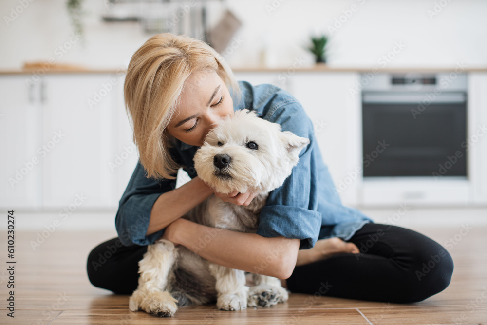 Loyal West Highland White Terrier staying in adult woman's embraces while being inside modern apartment. Loving pet owner kissing her furry best friend while enjoying daily interaction with dog. Loyal West Highland White Terrier staying in adult woman's embraces while being inside modern apartment. Loving pet owner kissing her furry best friend while enjoying daily interaction with dog.