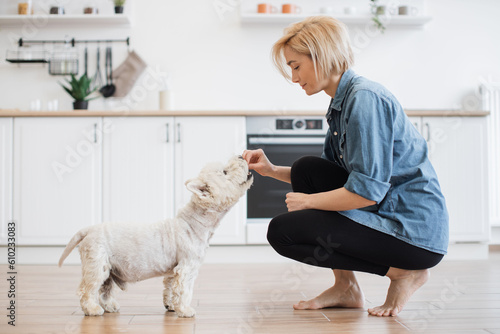 Fotografie Side view of relaxed blonde woman in cozy wear crouching down to small white dog with treats in hand