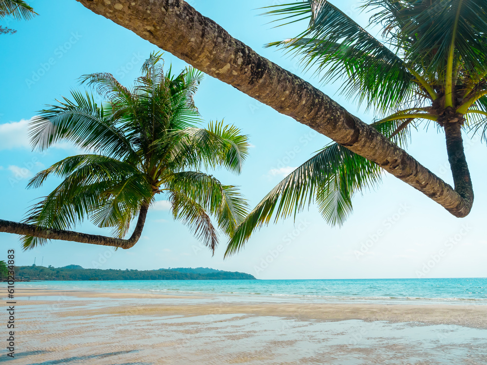 Bright seascape background on sunny day. Summer background with double tropical palm tree at koh kood, Thailand, open blue sky on sunshine day, summertimes scenery, holiday vacation poster concepts.