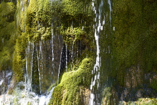 Waterfall with Moss on the Rocks