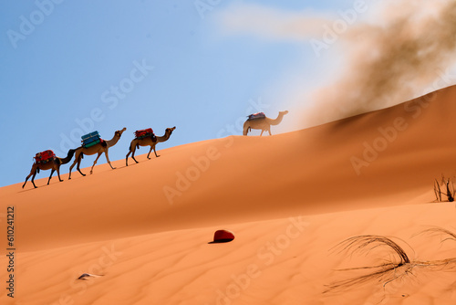 A caravan of camels is going through the desert.
