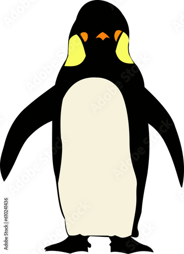 abstract penguin isolated on white