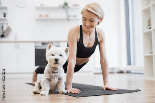 Calm West Highland White Terrier slowly falling asleep while female owner exercising arm balance yoga pose in home interior. Caucasian woman boosting mood and health while practising Phalakasana. photo