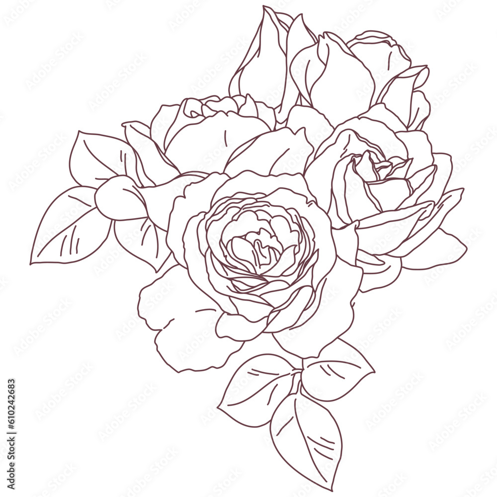 custom made wallpaper toronto digitalRose blossom flower bouquet outline art. Hand drawn realistic detailed vector illustration.