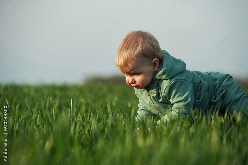 Above the grass. Cute little baby boy is in the agricultural field at daytime Above the grass. Cute little baby boy is in the agricultural field at daytime