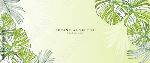Bright juicy green tropical background with monstera leaves and palm leaves. Background for decor, covers, wallpapers, postcards and presentations. Botanical frame for text or photo.