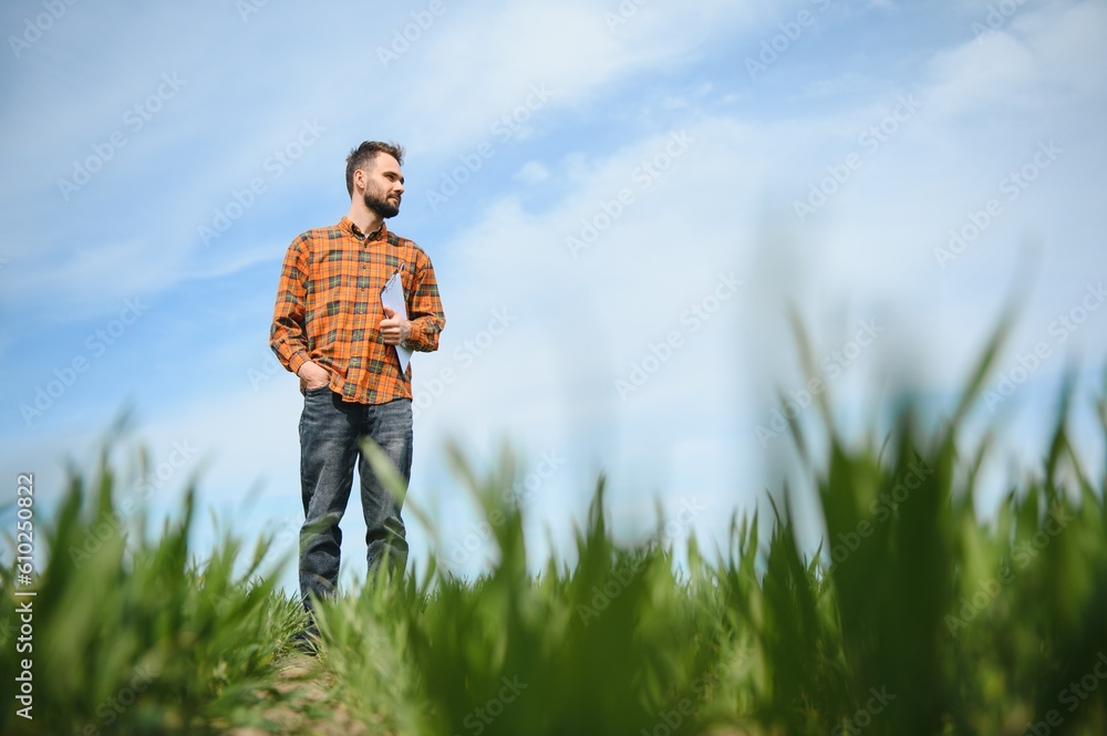 Portrait of farmer standing in field.