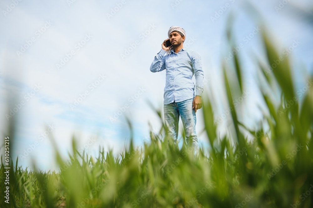 worry less ,indian farmer standing in his healthy wheat field worry less ,indian farmer standing in his healthy wheat field