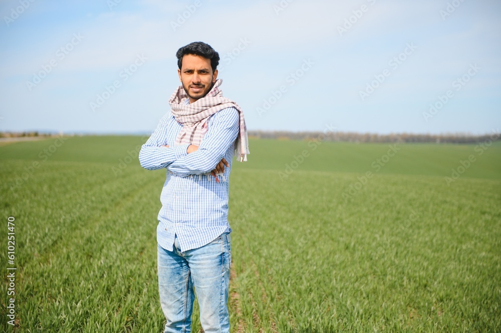 Portrait of farmer standing in a wheat field. farmer stands in green wheat field, looks, examines his crop