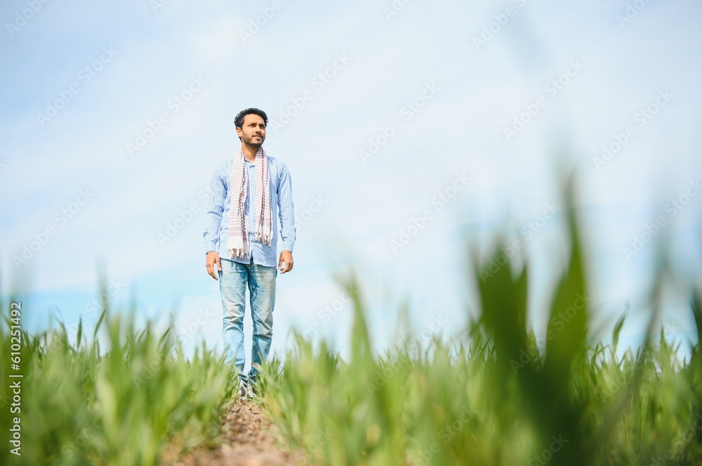 worry less ,indian farmer standing in his healthy wheat field worry less ,indian farmer standing in his healthy wheat field