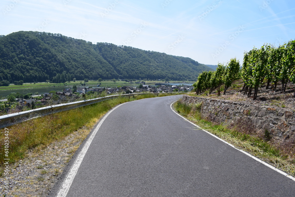 Road in the Vineyards