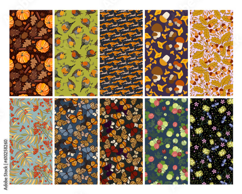 Vector collection of ten seamless natural patterns with plants and animals in deep autumn colors. Pumpkin, spices, birds, forest animals, mushrooms, autumn trees, butterflies, gooseberry, flowers.