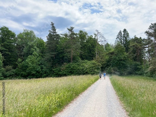 Trails for sports and recreation or forest paths for hiking and walking, Regensdorf - Switzerland (Wege für Sport und Erholung oder Waldwege zum Wandern und Spazierengehen - Schweiz)