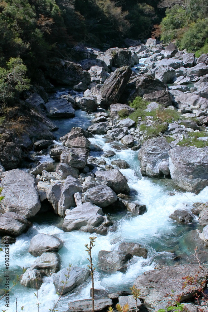 瀬戸川の渓流を眺める (高知県 土佐町 瀬戸川取水堰上流) 瀬戸川の渓流を眺める (高知県 土佐町 瀬戸川取水堰上流)