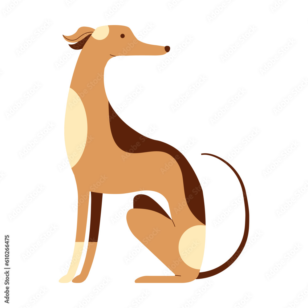 Italian Greyhound Whippet Dog Cartoon Illustration