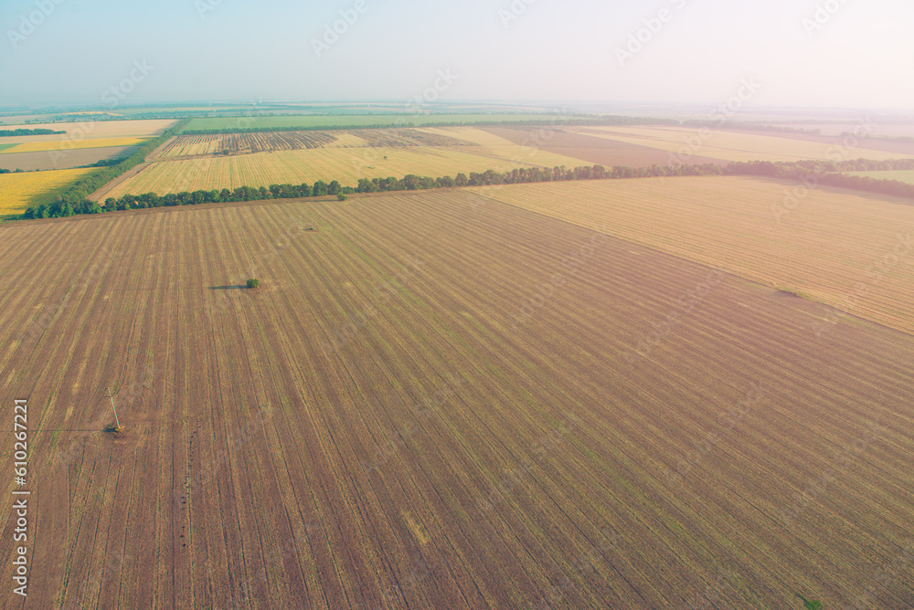 Naklejka premium Amazing view from the height of the balloon. Summer beautiful fields lanscape from the bird's eye, sunrise. Ballooning in Ukraine