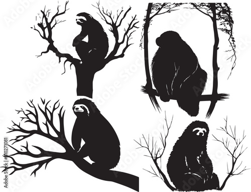 silhuette sloth animal images