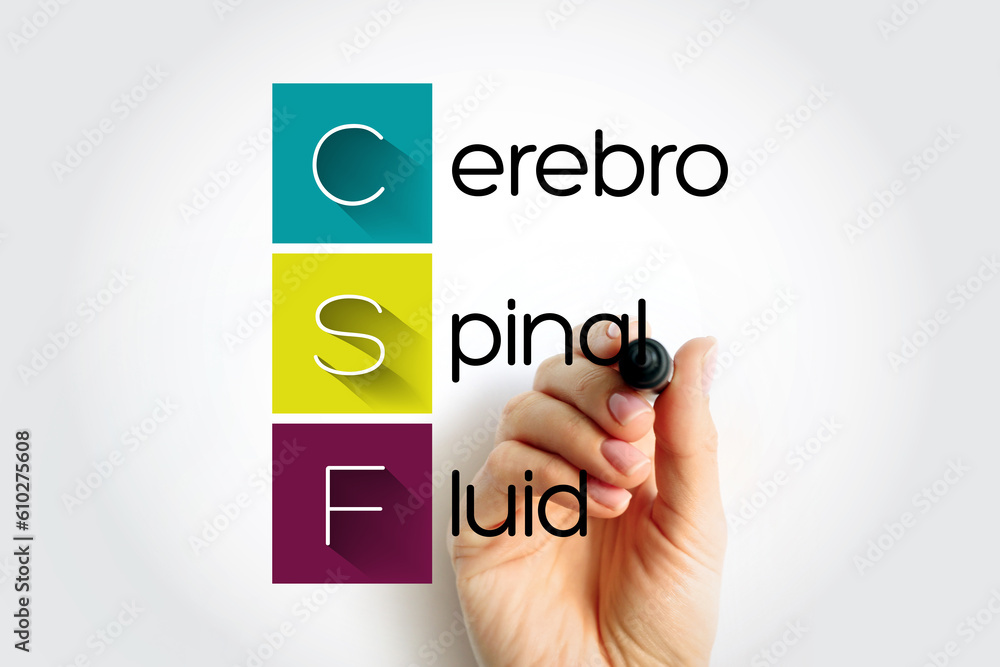 CSF Cerebrospinal Fluid - clear fluid that surrounds the brain and spinal cord, acronym text with marker - obrazy, fototapety, plakaty 