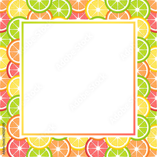 Vector frame with copy space. Slices of lemon, orange, lime and grapefruit on white background.