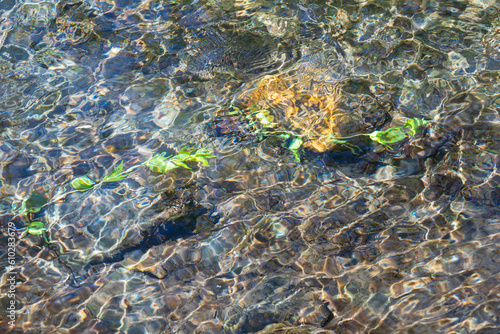 おだやかな水の流れる小川の波紋